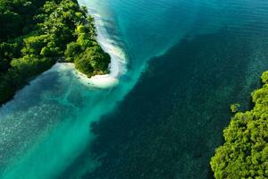 magnifique vue de mangrove plage de drone vue photo