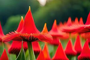 une grand groupe de rouge fleurs avec beaucoup pointes. généré par ai photo