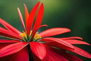 une rouge fleur avec une vert tige. généré par ai photo