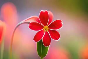 rouge fleur sur une flou Contexte. généré par ai photo