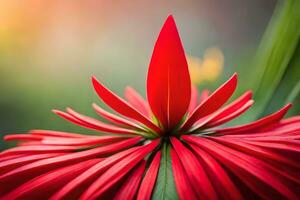 rouge fleur avec brillant lumière du soleil dans le Contexte. généré par ai photo