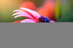 une rose fleur avec une floue Contexte. généré par ai photo