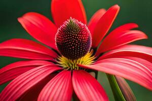 une rouge fleur avec une Jaune centre. généré par ai photo