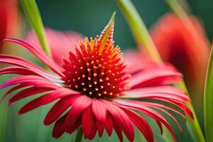 une rouge fleur avec une vert tige. généré par ai photo