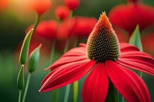 rouge échinacée fleur avec Soleil dans Contexte. généré par ai photo