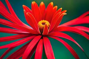 une rouge fleur avec Jaune centres est montré. généré par ai photo