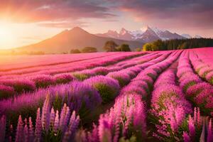 lavande champ à le coucher du soleil avec montagnes dans le Contexte. généré par ai photo