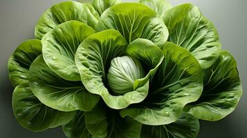 cette vibrant fermer de une Frais légume plante révèle ses complexe beauté, avec le luxuriant vert feuilles, délicat pétales, et invitant croustillant chou et laitue, ai génératif photo