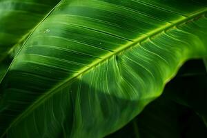 détaillé tropical feuille dans proche en haut, création une luxuriant Naturel Contexte ai généré photo