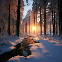 hivers crépuscule dans le forêt, le soleils chaud hiver adieu ai généré photo