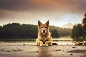 une chien séance sur le sol près une lac. généré par ai photo