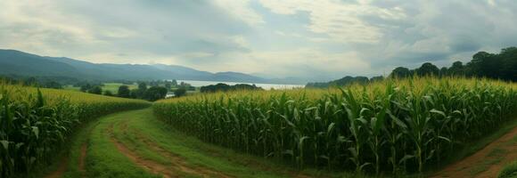 pittoresque blé des champs dans le pluvieux saison, une Stupéfiant Naturel panorama ai généré photo