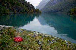 rouge champignon amanite avec magnifique Lac sur Contexte photo