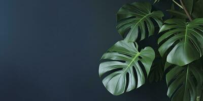 tropical feuilles monstera sur foncé bleu Contexte. vide espace plat poser. Créatif minimal été concept. génératif ai photo