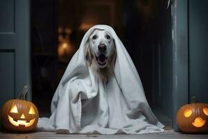 une photo de une chien habillé comme une fantôme pour Halloween séance dans de face de le de face porte avec une citrouille lanterne, ai génératif