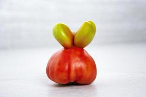 tomate drôle mûre avec des oreilles de lapin photo
