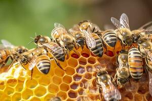 mon chéri les abeilles sur nid d'abeille dans rucher dans heure d'été, mon chéri les abeilles communiquer avec chaque autre, ai génératif photo