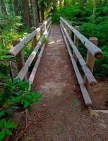pont en bois dans les bois au lac daly près de marion forks ou photo