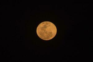 plein lune sur foncé ciel photo