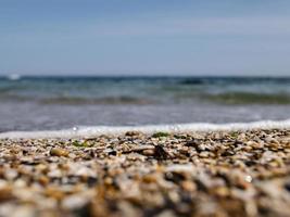 galets de mer et coquillages photo