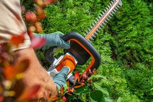 façonner thuyas vert mur en utilisant haie tondeuse proche en haut photo