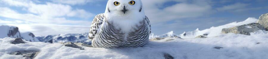 hibou sur une hiver neige Contexte. génératif ai photo