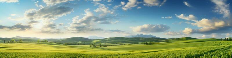 été blé champ panorama campagne ai généré photo