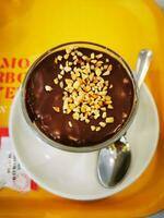 photo de une délicieux bol de Chocolat pudding avec croquant des noisettes sur Haut