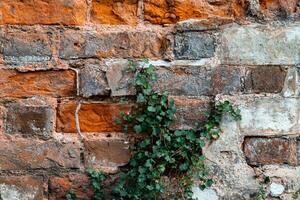 texture Contexte de briques avec lignes photo