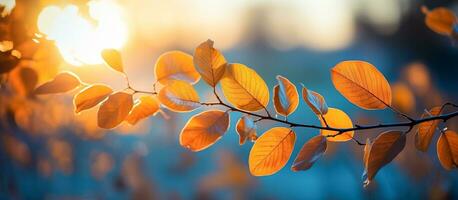 l'automne paysage avec Orange et Jaune feuilles sur branche avec Matin lumière du soleil ,automne arrière-plan, génératif ai photo