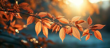 l'automne paysage avec Orange et Jaune feuilles sur branche avec Matin lumière du soleil ,automne arrière-plan, génératif ai photo
