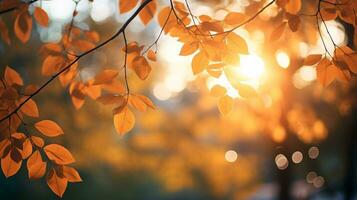 l'automne paysage avec Orange et Jaune feuilles sur branche avec Matin lumière du soleil ,automne arrière-plan, génératif ai photo