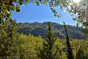 été paysage de le turc montagnes avec vert des arbres photo