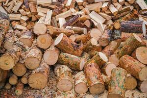 Journal pin les troncs ou sanitaire abattage de les forêts, le idée de enregistrement bois pour chauffage Maisons photo