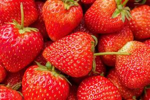 Frais biologique rouge fraise fruit Contexte photo