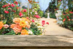 vide bois table Haut avec brouiller Rose jardin Contexte pour produit afficher photo