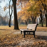 une en bois banc est séance dans le parc dans en retard l'automne photo