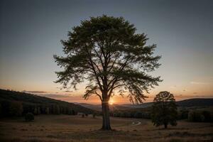 témoin le serein majesté de une arbre contre une le coucher du soleil ciel. ai généré. photo