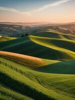 sérénité dévoilé une captivant campagne paysage. ai généré. photo