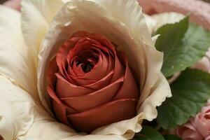 épanouissement beauté captivant proche en haut de vibrant été des roses. ai généré. photo