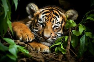 profil portrait de Bengale tigre. ai génératif photo