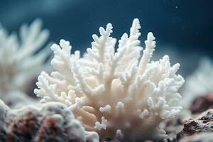 blanc corail sur foncé bleu Contexte. sous-marin photo de mer vie, proche en haut de une magnifique blanc corail dans peu profond profondeur de champ, ai généré