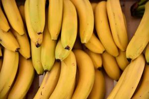 vue rapprochée des bananes photo