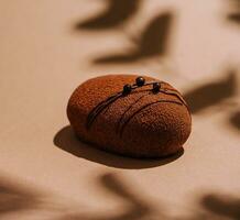 contemporain Chocolat dôme mousse gâteau couvert avec Chocolat velours vaporisateur et Chocolat gourmet glaçage photo