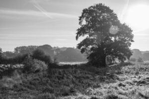 de bonne heure Matin à une rivière dans Allemagne photo