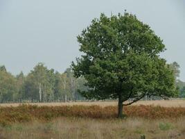 Haaksbergen dans le Pays-Bas photo