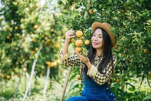 femme récoltant une plantation d'oranges