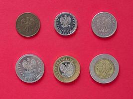 pièces de monnaie zloty polonais, pologne photo