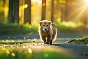 une marron ours en marchant par une forêt à le coucher du soleil. généré par ai photo