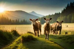 vaches en marchant dans le champ à le coucher du soleil. généré par ai photo